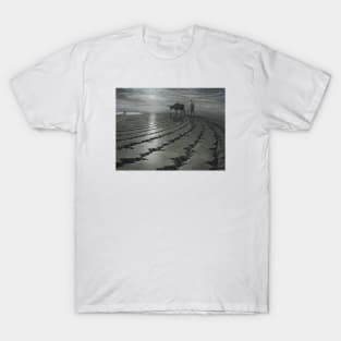 A Cold and Broken Hallelujah T-Shirt